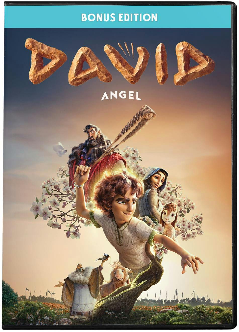 711464 David Biblical Story DVD
