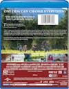 The Stray [Blu-ray] - Back