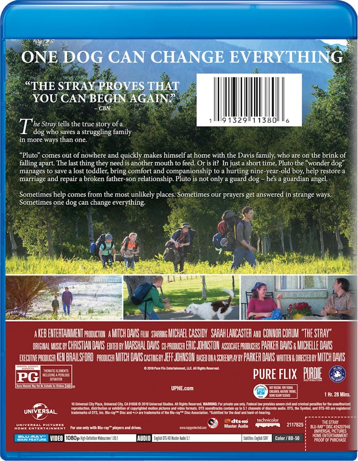The Stray [Blu-ray]