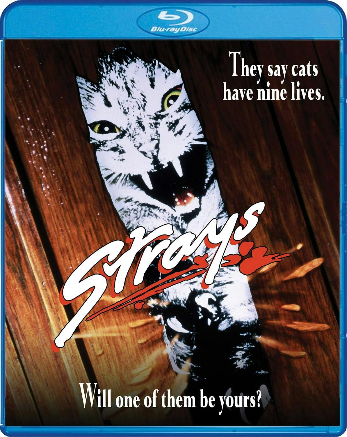 Strays - Blu-ray