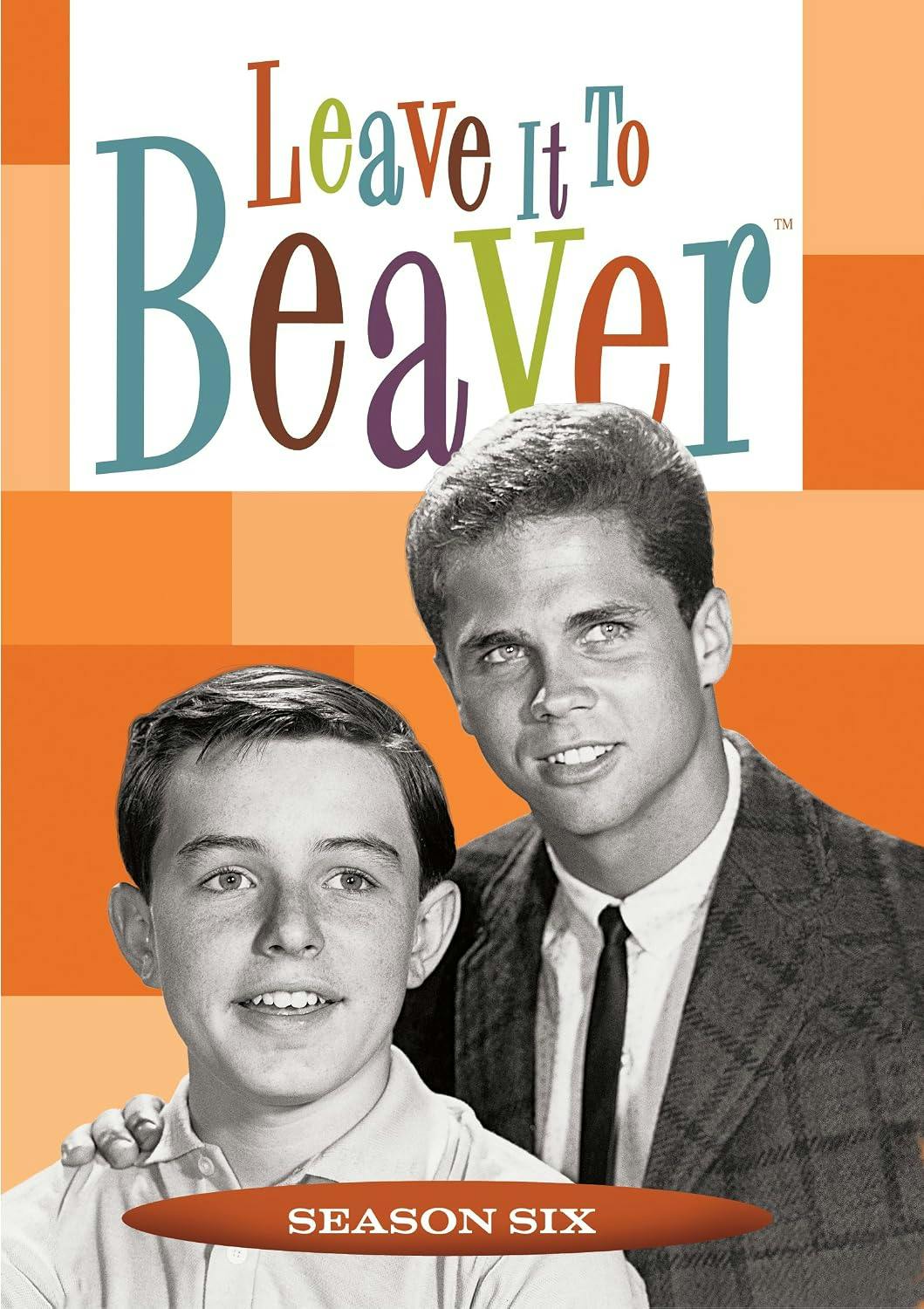 Leave It To Beaver: Season Six - DVD