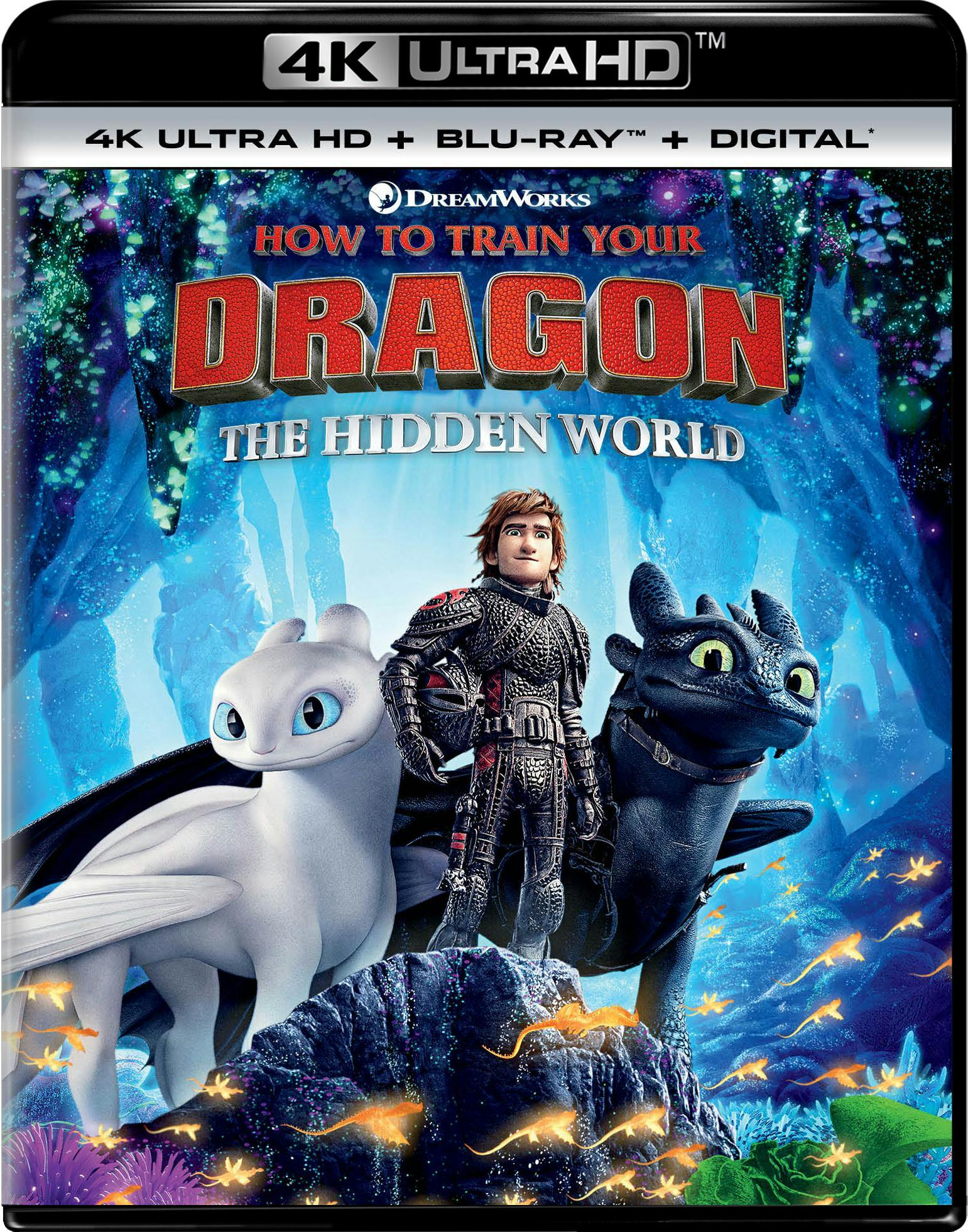 How to Train Your Dragon - The Hidden World (4K Ultra HD + Blu-ray + Digital HD) - UHD  - Animation Movies on 4K Ultra HD Blu-ray - Movies on GRUV