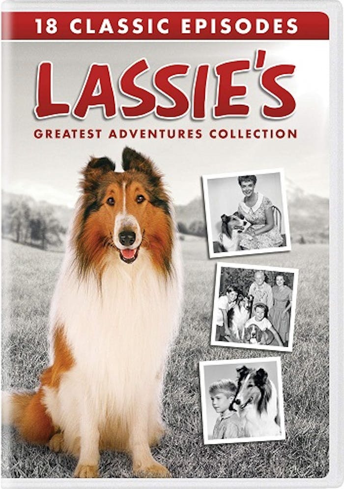 Lassie. The famous dog, Lassie, who appeared in many