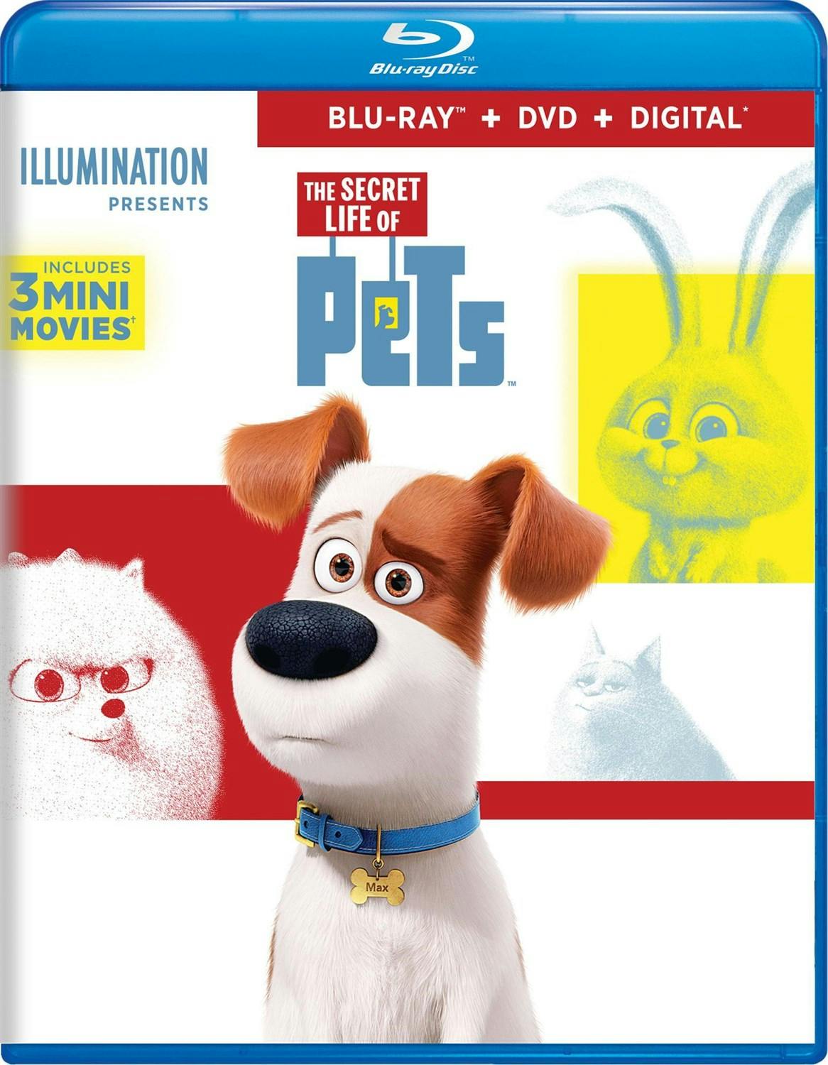 The Secret Life of Pets (DVD + Digital) - Blu-ray  - Children Movies on Blu-ray - Movies on GRUV