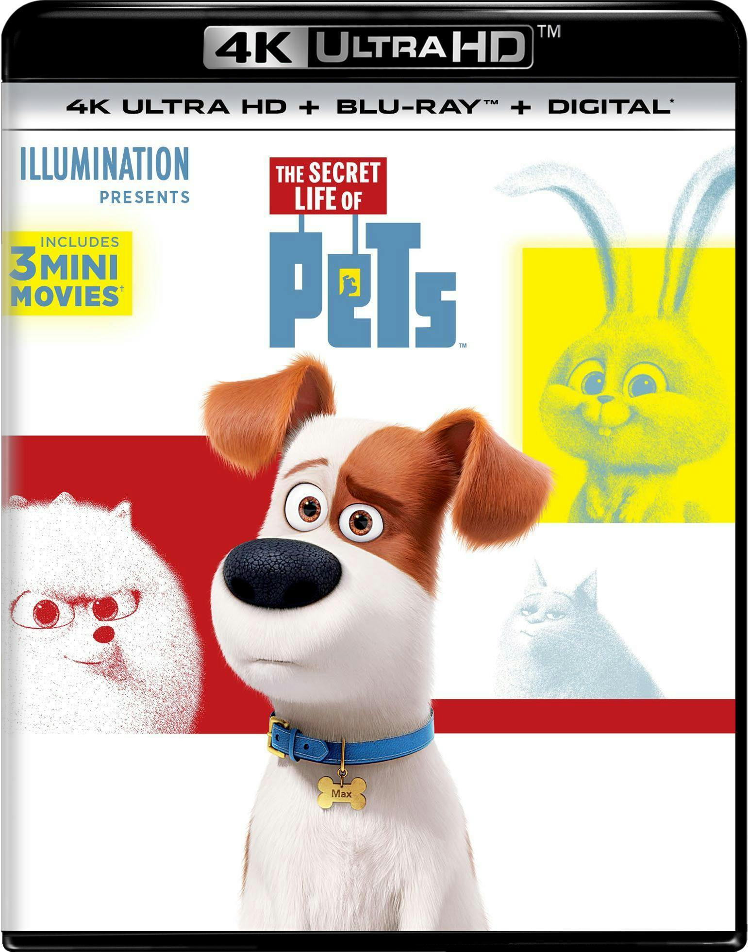 The Secret Life of Pets (4K Ultra HD) - UHD  - Animation Movies on 4K Ultra HD Blu-ray - Movies on GRUV