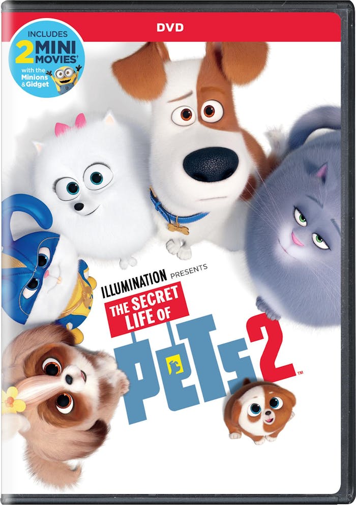 The Secret Life of Pets 2 (DVD) [DVD]