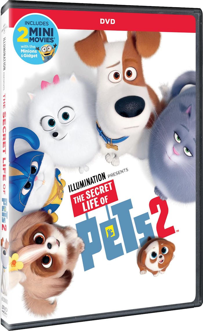 The Secret Life of Pets 2 (DVD + Digital HD) [DVD]