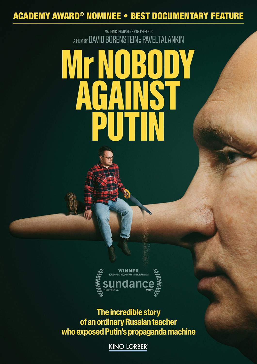 Mr. Nobody Against Putin - DVD