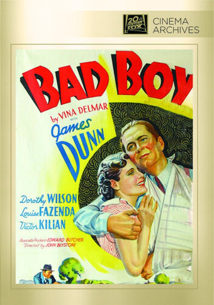 Bad Boy [DVD]