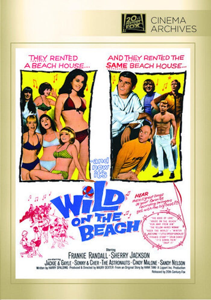 Wild On The Beach [DVD]