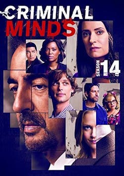 Criminal Minds: Fourteenth Season [DVD]