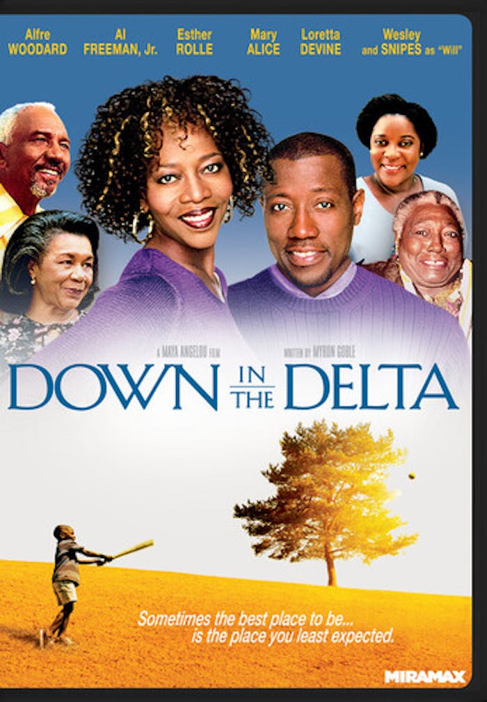 Down In The Delta [DVD]