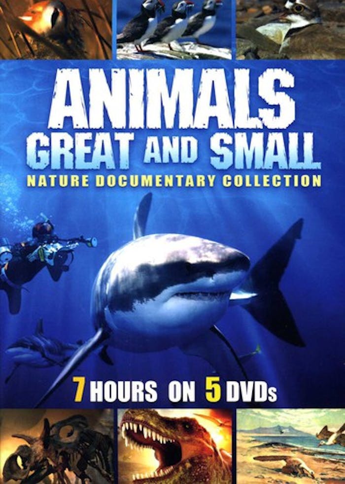 Animals Great & Small DVD [DVD]