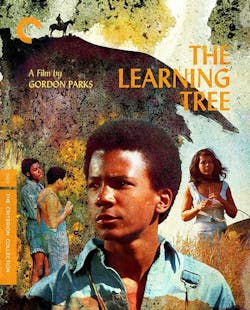 LEARNING TREE, THE BD [Blu-ray]