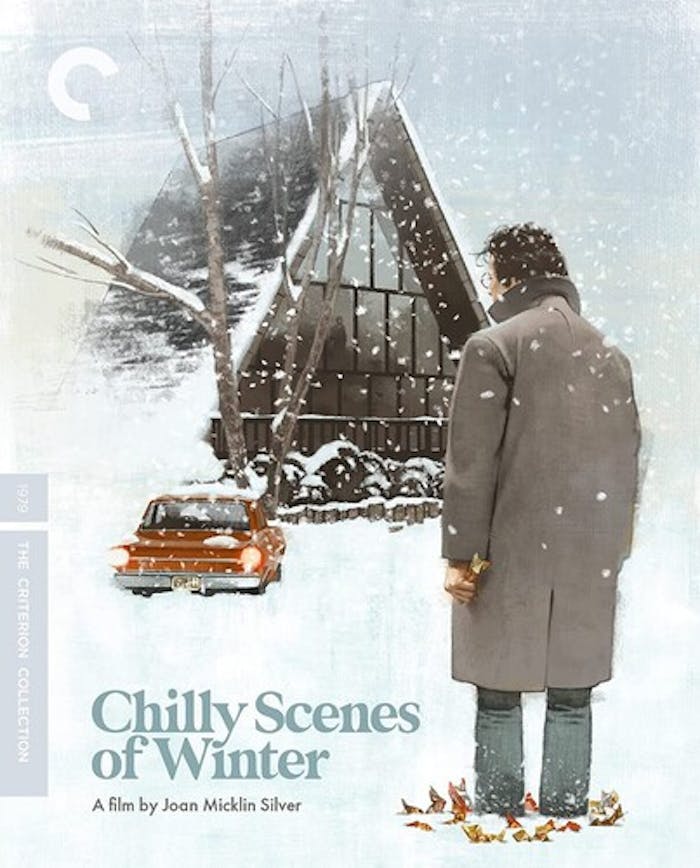 CHILLY SCENES OF WINTER/BD [Blu-ray]