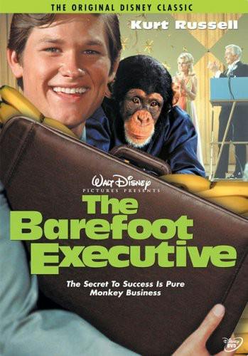 The Barefoot Executive - DVD
