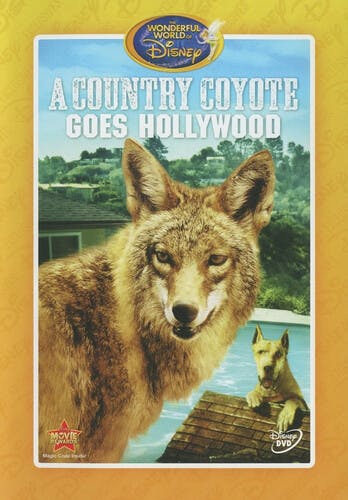 A Country Coyote Goes Hollywood - DVD