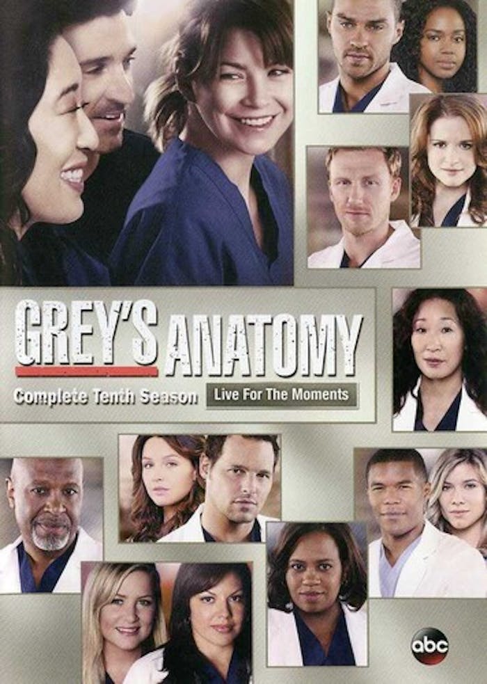 Grey's Anatomy: The Complete Tenth Season [DVD]