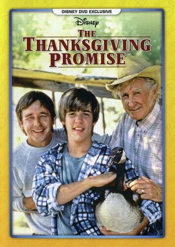 The Thanksgiving Promise - DVD