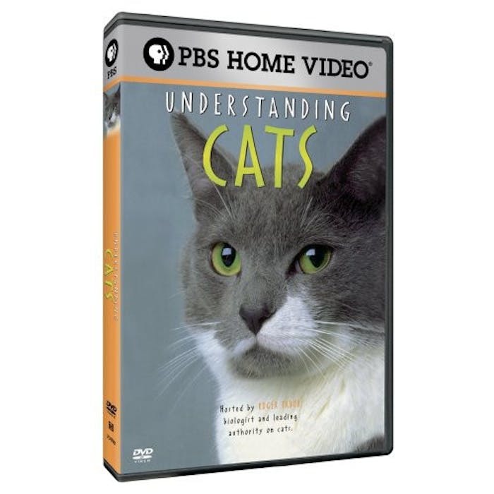 UNDERSTANDING CATS [DVD]