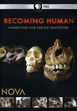 NOVA: BECOMING HUMAN [DVD]