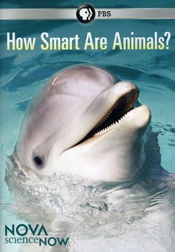 NOVA SCIENCE NOW: HOW SMART ARE ANIMALS [DVD]