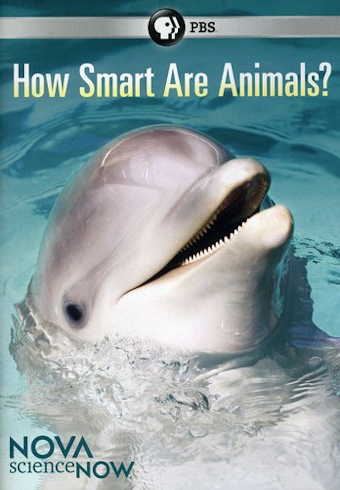 NOVA SCIENCE NOW: HOW SMART ARE ANIMALS [DVD]