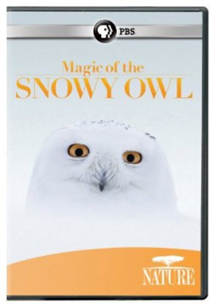 NATURE: MAGIC OF THE SNOWY OWL [DVD]