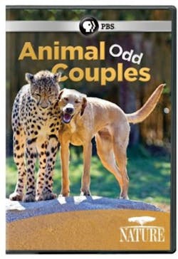 NATURE: ANIMAL ODD COUPLES [DVD]