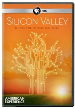 AMERICAN EXPERIENCE: SILICON VALLEY (THE TITANS) [DVD]