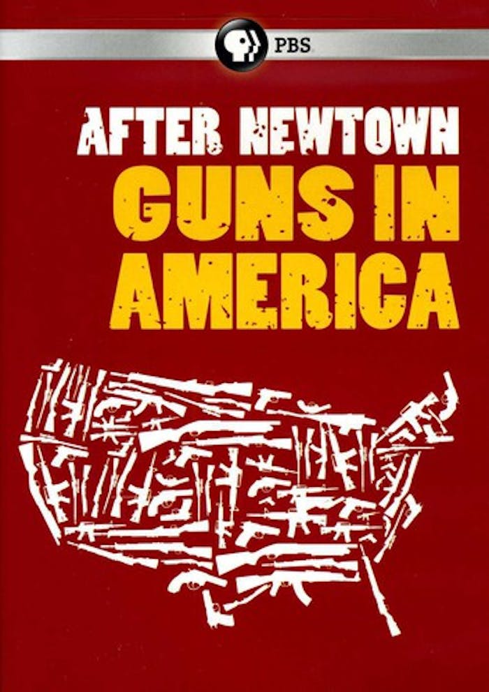 AFTER NEWTOWN: GUNS IN AMERICA [DVD]