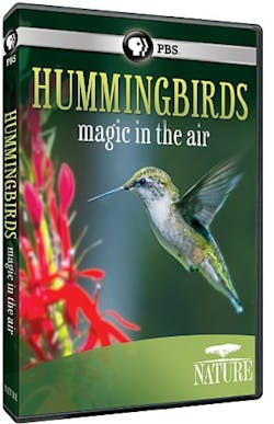 NATURE: HUMMINGBIRDS [DVD]