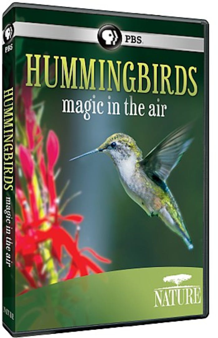 NATURE: HUMMINGBIRDS [DVD]