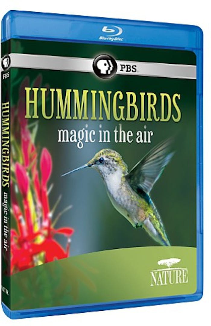 NATURE: HUMMINGBIRDS [Blu-ray]