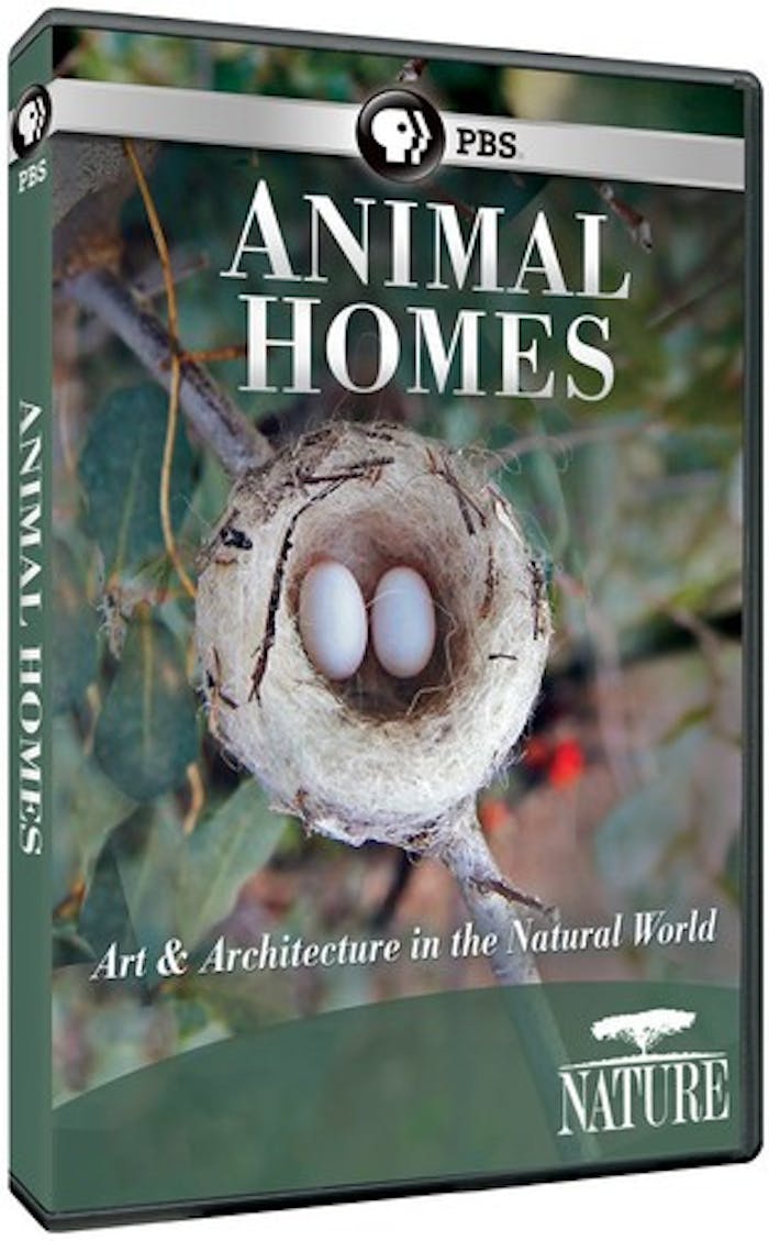 NATURE: ANIMAL HOMES [DVD]