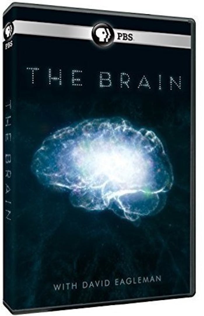 The Brain with David Eagleman [DVD]