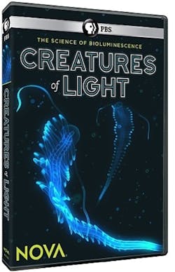 NOVA: CREATURES OF LIGHT [DVD]