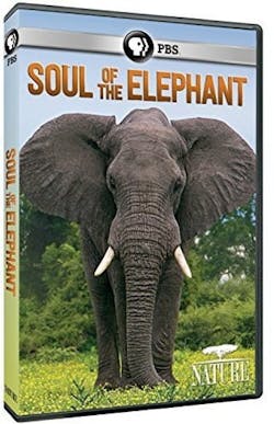 Nature: Soul of the Elephant [DVD]