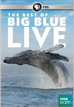 The Best of Big Blue Live [DVD]