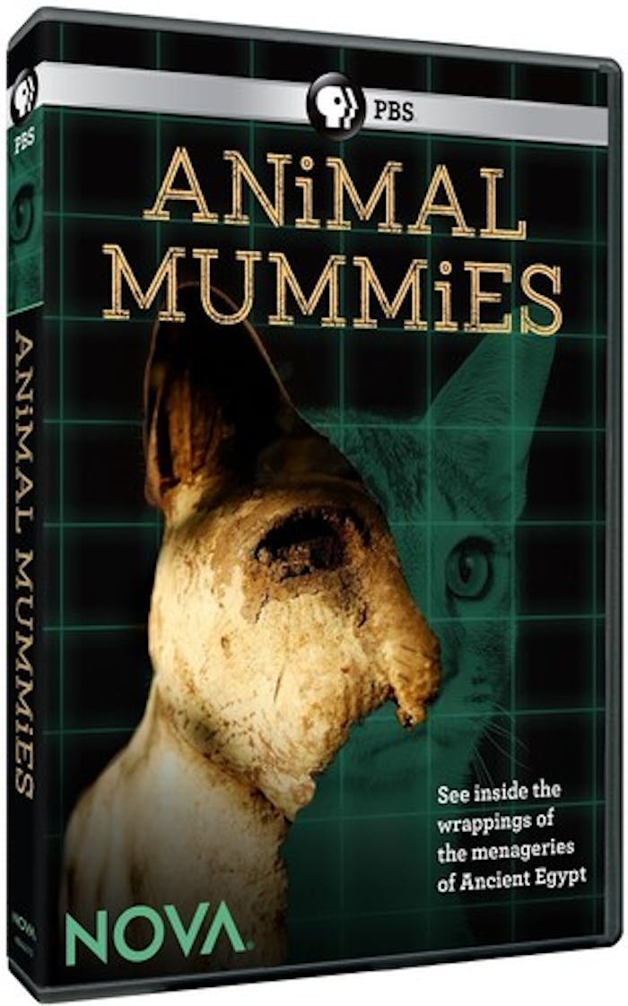 NOVA: ANIMAL MUMMIES [DVD]