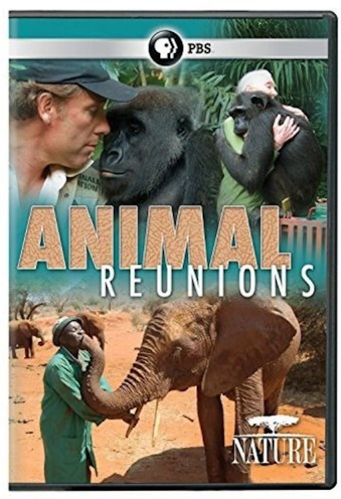 Nature: Animal Reunions [DVD]