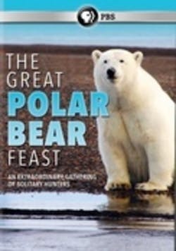 GREAT POLAR BEAR FEAST [DVD]