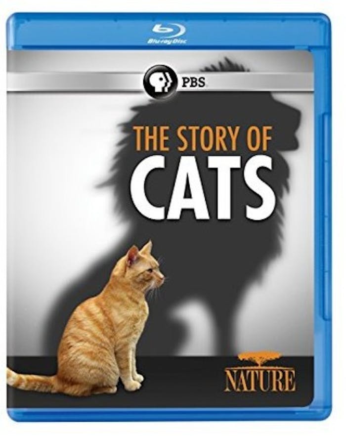 NATURE: THE STORY OF CATS [Blu-ray]