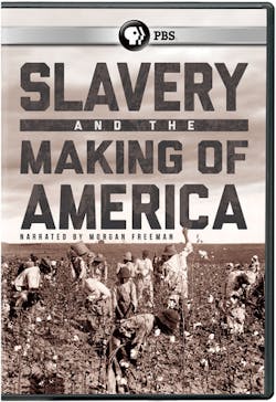 Slavery & The Making Of America [DVD]