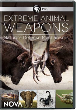 NOVA: EXTREME ANIMAL WEAPONS [DVD]