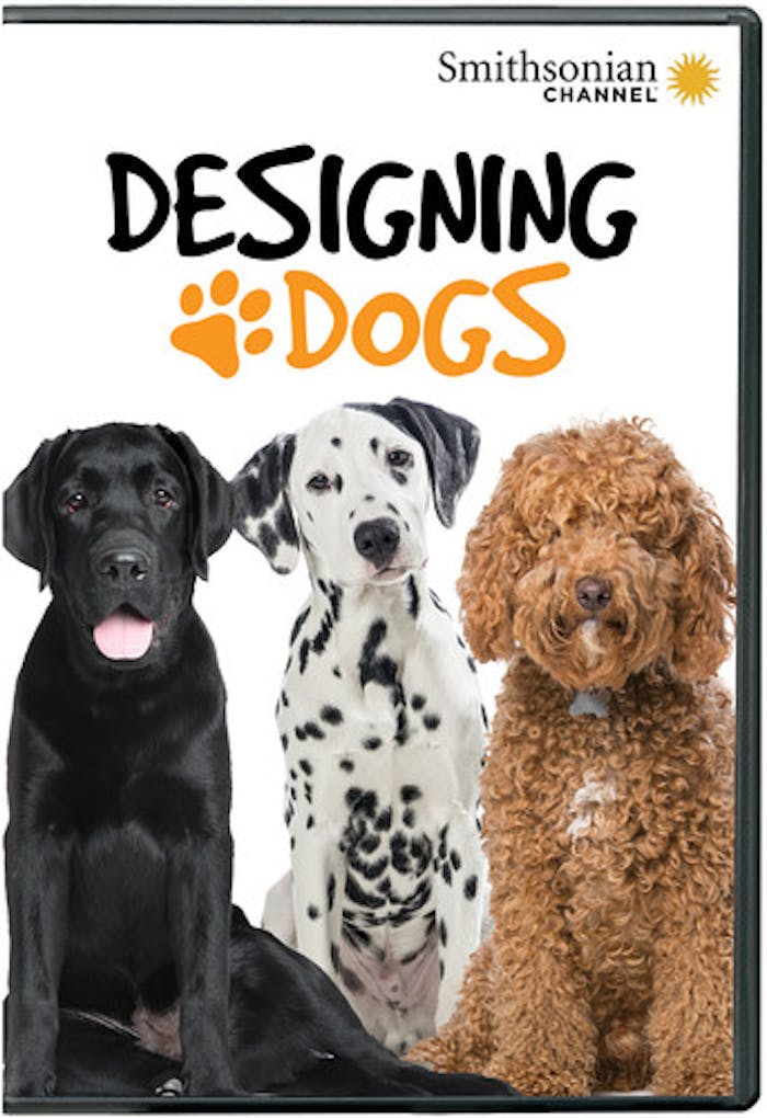 SMITHSONIAN: DESIGNING DOGS [DVD]