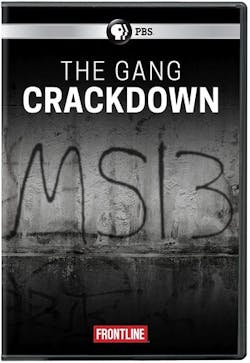 FRONTLINE: THE GANG CRACKDOWN [DVD]