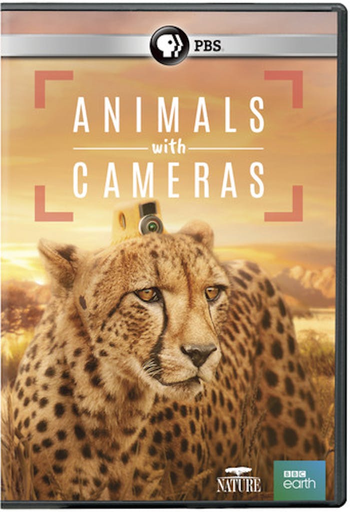 NATURE: ANIMALS WITH CAMERAS [DVD]