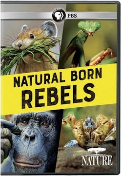 NATURE: NATURAL BORN REBELS [DVD]