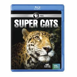 NATURE: SUPER CATS [Blu-ray]